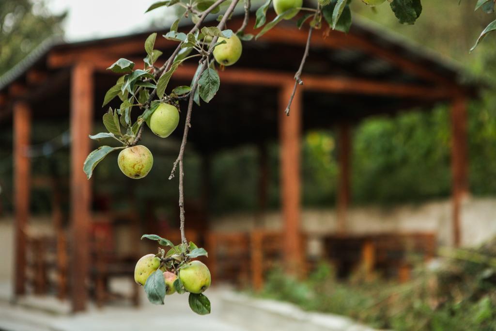 Guest House Dilijan Orran Exterior foto